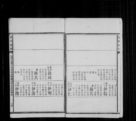 湖南谌氏族谱-谌氏族谱[残卷].pdf电子版插图2