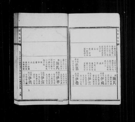 湖南谌氏族谱-谌氏族谱[残卷].pdf电子版插图4