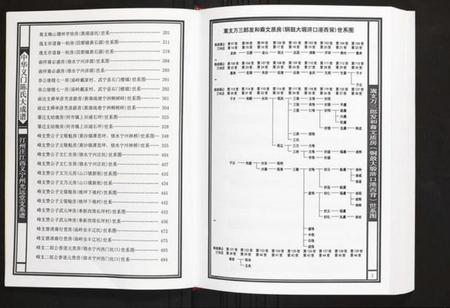 江西陈氏族谱-汀州庄江西义宁州光远堂支系谱.pdf电子版插图3