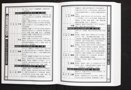 江西陈氏族谱-汀州庄江西义宁州光远堂支系谱.pdf电子版插图5