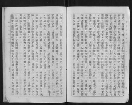 湖南戴氏族谱-戴氏七续支谱[10卷].pdf电子版插图5