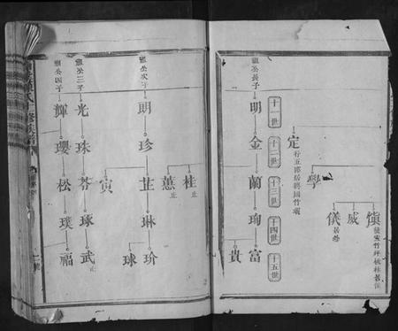 江西陈氏族谱-白溪陈氏十一修族谱.pdf电子版插图2