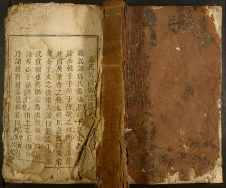 湖南戴氏族谱-戴氏族谱.pdf电子版插图 湖南戴氏族谱-戴氏族谱.pdf电子版插图