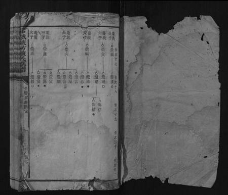 江西陈氏族谱-石城陈坊陈氏族谱.pdf电子版插图1