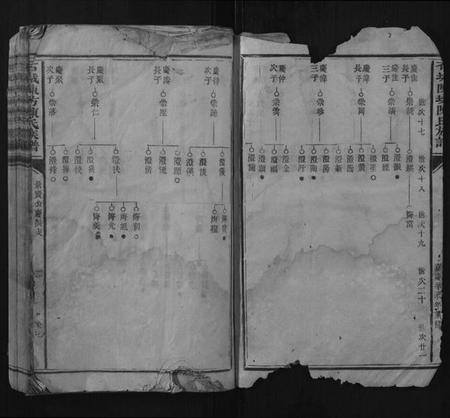 江西陈氏族谱-石城陈坊陈氏族谱.pdf电子版插图2