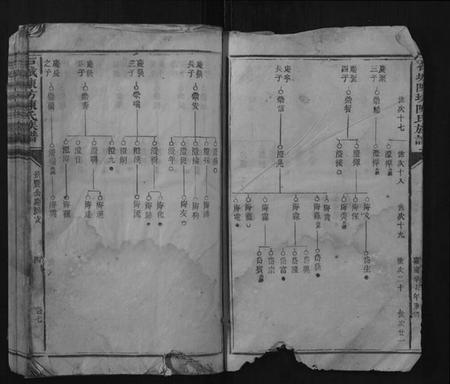 江西陈氏族谱-石城陈坊陈氏族谱.pdf电子版插图3