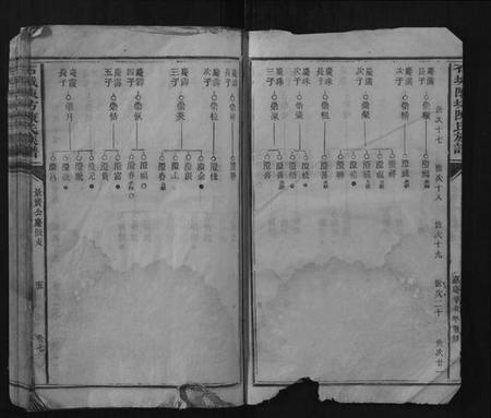 江西陈氏族谱-石城陈坊陈氏族谱.pdf电子版插图4