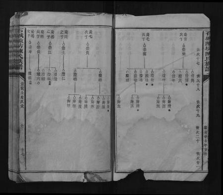 江西陈氏族谱-石城陈坊陈氏族谱.pdf电子版插图5