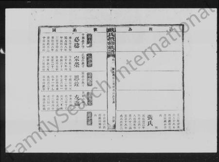 湖南戴氏族谱-戴氏续修族谱 [16卷].pdf电子版插图4