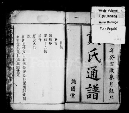 湖南戴氏族谱-戴氏通谱 [14卷,首1卷].pdf电子版插图2