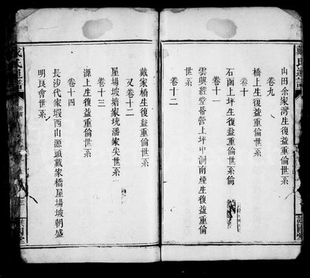 湖南戴氏族谱-戴氏通谱 [14卷,首1卷].pdf电子版插图4