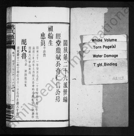 湖南戴氏族谱-戴氏通谱 [39卷].pdf电子版插图1