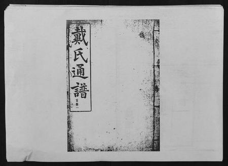 湖南戴氏族谱-戴氏通谱世系 [世系12卷,世编78卷,首4卷].pdf电子版