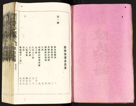 江西陈氏族谱-颖川陈氏宁都金酋公璜溪武溪联修族谱.pdf电子版插图2