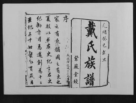 湖南戴氏族谱-鹤岭戴氏.pdf电子版插图1 湖南戴氏族谱-鹤岭戴氏.pdf电子版插图1