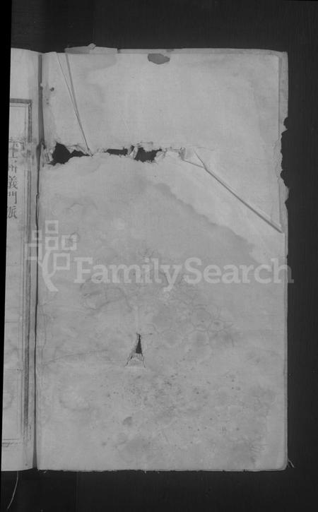 江西陈氏族谱-义门陈氏宗谱.pdf电子版插图2