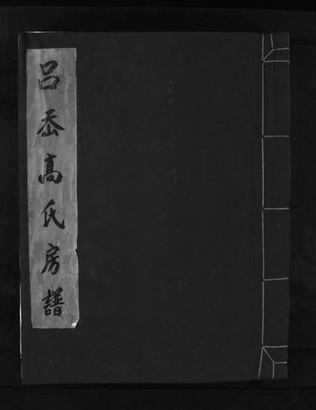 浙江高氏族谱-吕岙高氏房谱 [不分卷].pdf电子版