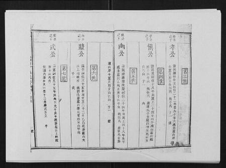 江西陈氏族谱-兴国颍川郡陈氏族谱.pdf电子版插图2