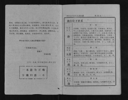 江西陈氏族谱-萍乡白竺陈氏九修族谱.pdf电子版插图1