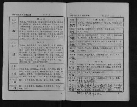 江西陈氏族谱-萍乡白竺陈氏九修族谱.pdf电子版插图2