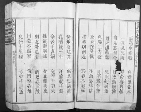 江西陈氏族谱-董坪陈氏族谱[不分卷].pdf电子版插图2