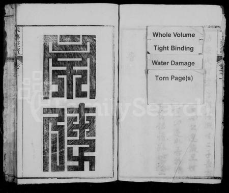 江西陈氏族谱-赣江上游陈氏首届联修族谱.pdf电子版插图1