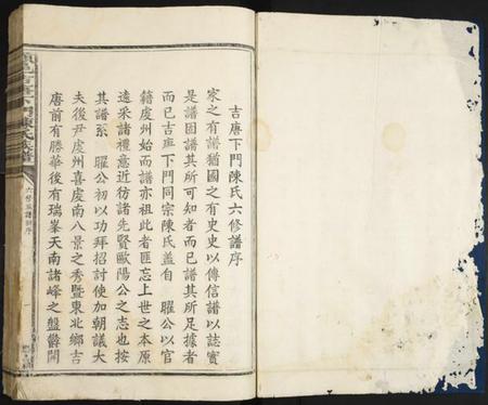 江西陈氏族谱-赣县吉唐下门陈氏宗谱.pdf电子版插图1