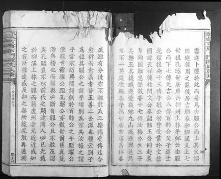 江西陈氏族谱-赣邑吉唐下门陈氏族谱.pdf电子版插图2 江西陈氏族谱-赣邑吉唐下门陈氏族谱.pdf电子版插图2