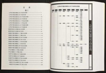 江西陈氏族谱-赤土官庄江西高安石脑安溪族谱.pdf电子版插图2