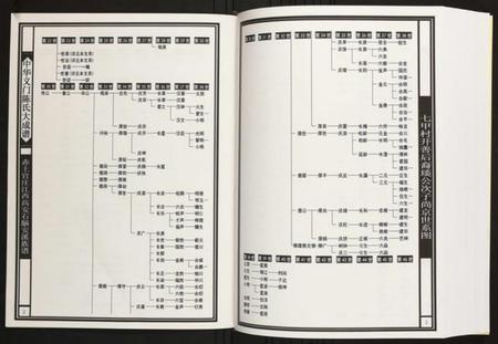 江西陈氏族谱-赤土官庄江西高安石脑安溪族谱.pdf电子版插图3