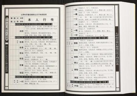 江西陈氏族谱-赤土官庄江西高安石脑安溪族谱.pdf电子版插图5