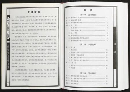 江西陈氏族谱-[陈氏]石桥庄江西南昌邓林希隆公支系族谱.pdf电子版插图2