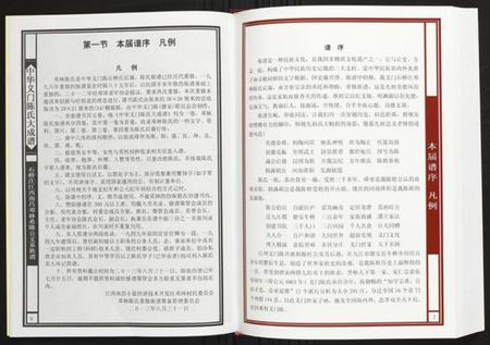 江西陈氏族谱-[陈氏]石桥庄江西南昌邓林希隆公支系族谱.pdf电子版插图4