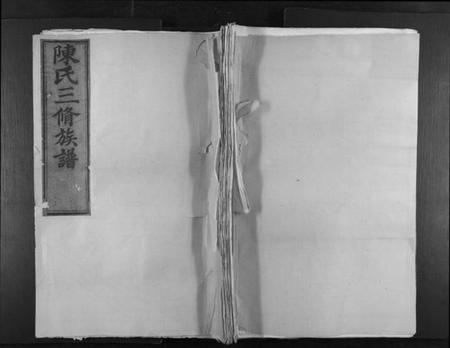 江西陈氏族谱-陈氏六修族谱.pdf电子版