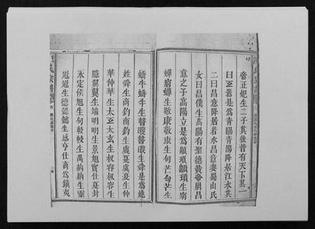 江西陈氏族谱-陈氏宗谱 [29卷首1卷].pdf电子版插图2