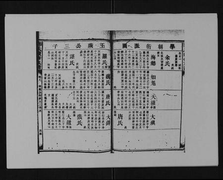 湖南邓氏族谱-邓氏族谱[46卷首2卷].pdf电子版插图4