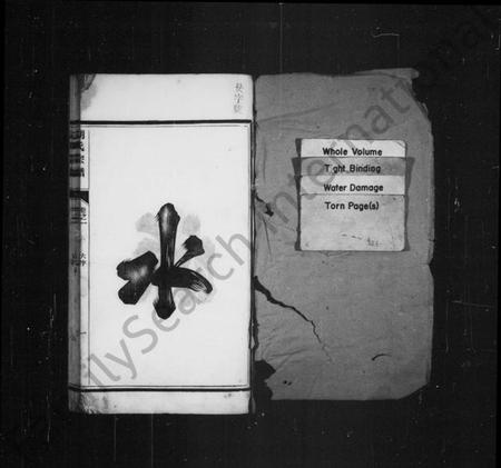 浙江胡氏族谱-唐昌胡氏宗谱 [6卷,含卷首].pdf电子版插图1