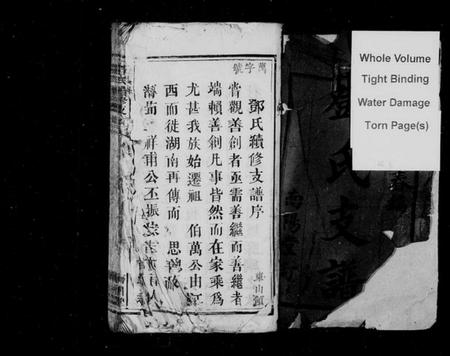 湖南邓氏族谱-邓氏续修支谱 [4卷,含卷首].pdf电子版插图2