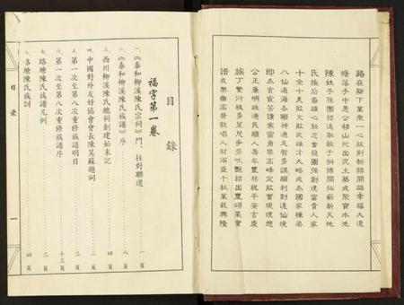 江西陈氏族谱-鹭塘陈氏族谱.pdf电子版插图3