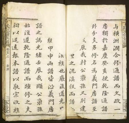 湖南丁氏族谱-丁氏三修族谱.pdf电子版插图3