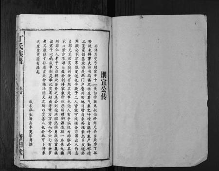 湖南丁氏族谱-丁氏族谱.pdf电子版插图1