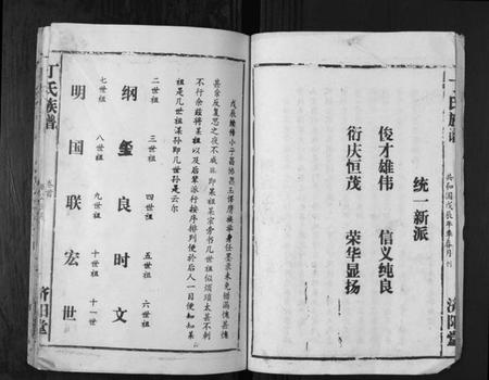 湖南丁氏族谱-丁氏族谱.pdf电子版插图2