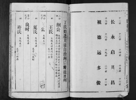 湖南丁氏族谱-丁氏族谱.pdf电子版插图3