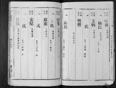 湖南丁氏族谱-丁氏族谱.pdf电子版插图4