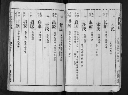 湖南丁氏族谱-丁氏族谱.pdf电子版插图5