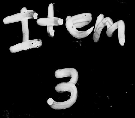 湖南丁氏族谱-丁氏族谱 [14卷,首2卷].pdf电子版