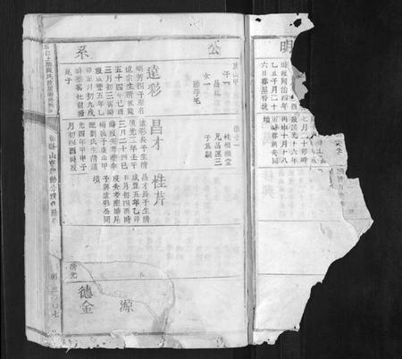 江西陈氏族谱-赣江上游陈氏首届联修族谱[不分卷].pdf电子版插图1