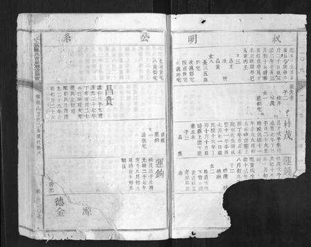 江西陈氏族谱-赣江上游陈氏首届联修族谱[不分卷].pdf电子版插图2