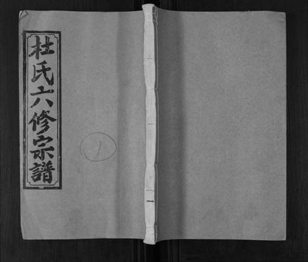 湖南杜氏族谱-杜氏六修宗谱[7卷首1卷].pdf电子版