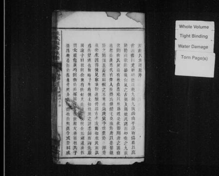 湖南杜氏族谱-杜氏四修族谱 [残卷].pdf电子版插图2